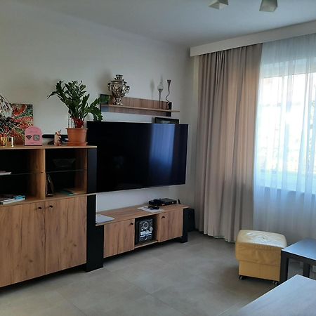 Apartamento Apartament Renii Blisko Areny Lodowej Tomaszów Mazowiecki Exterior foto